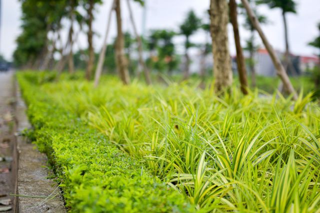 Hà Nội: Đường nối cầu Nhật Tân, Thăng Long hơn 5 năm dang dở - Ảnh 10. Hà Nội: Đường nối cầu Nhật Tân, Thăng Long hơn 5 năm dang dở - Ảnh 10.
