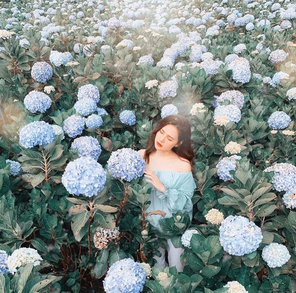 Thuc hien het 8 dieu nay, 'tat tan tat' Da Lat se o trong tam tay ban hinh anh 9 