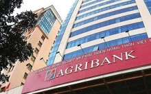Agribank phát hành 5.000 tỉ đồng trái phiếu, lãi suất có thể trên 8%