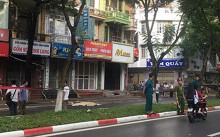 Cây đổ trên đường Trần Đăng Ninh, 1 người tử vong: Công ty Công viên cây xanh nói gì?