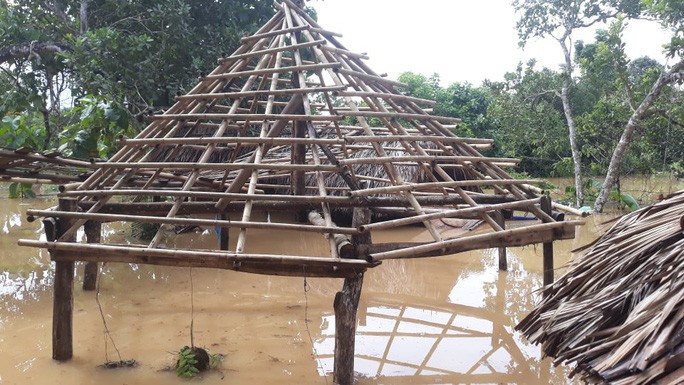 Một vùng rộng lớn ở Đồng Nai đang chìm trong nước, có nơi lút đầu trẻ - Ảnh 1. Một vùng rộng lớn ở Đồng Nai đang chìm trong nước, có nơi lút đầu trẻ - Ảnh 1.