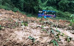 Sạt lở kinh hoàng, đèo Bảo Lộc tê liệt hoàn toàn