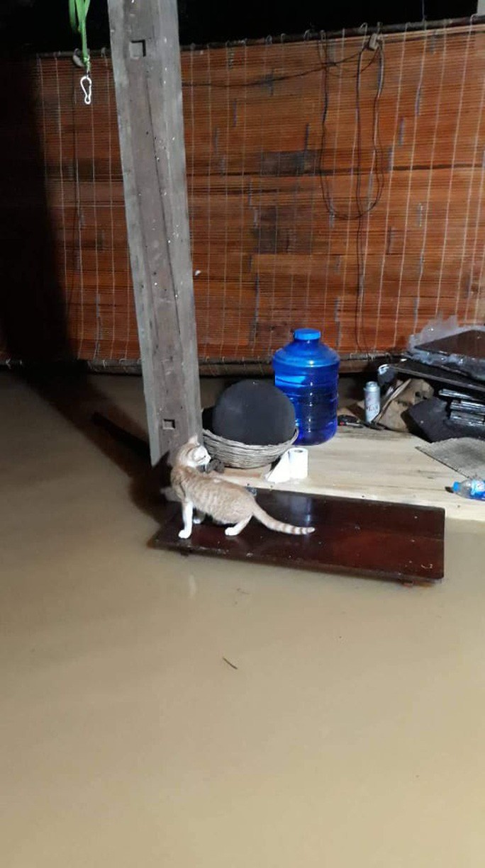 Một vùng rộng lớn ở Đồng Nai đang chìm trong nước, có nơi lút đầu trẻ - Ảnh 8. Một vùng rộng lớn ở Đồng Nai đang chìm trong nước, có nơi lút đầu trẻ - Ảnh 8.