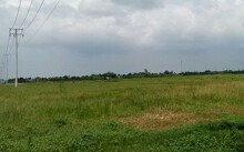 Dự án Khu công nghiệp Dịch vụ Dầu khí Soài Rạp vẫn còn 'bỏ hoang'