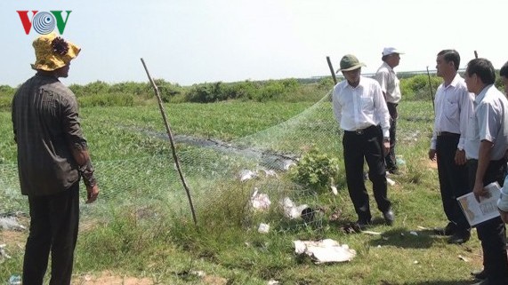 Dự án Khu công nghiệp Dịch vụ Dầu khí Soài Rạp vẫn còn 'bỏ hoang' - Ảnh 2. Dự án Khu công nghiệp Dịch vụ Dầu khí Soài Rạp vẫn còn 'bỏ hoang' - Ảnh 2.