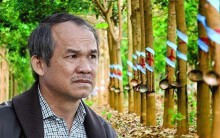Hai cổ phiếu của bầu Đức lại bị cảnh báo sau thông tin khoản lỗ giữa năm 2019 có thể lên gần 1.200 tỉ, bán hết 3 công ty cao su
