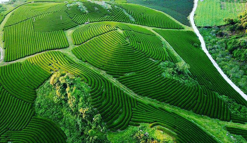 So sánh tour du lịch Hà Nội – Mộc Châu 3 ngày 2 đêm - Ảnh 6. So sánh tour du lịch Hà Nội – Mộc Châu 3 ngày 2 đêm - Ảnh 6.