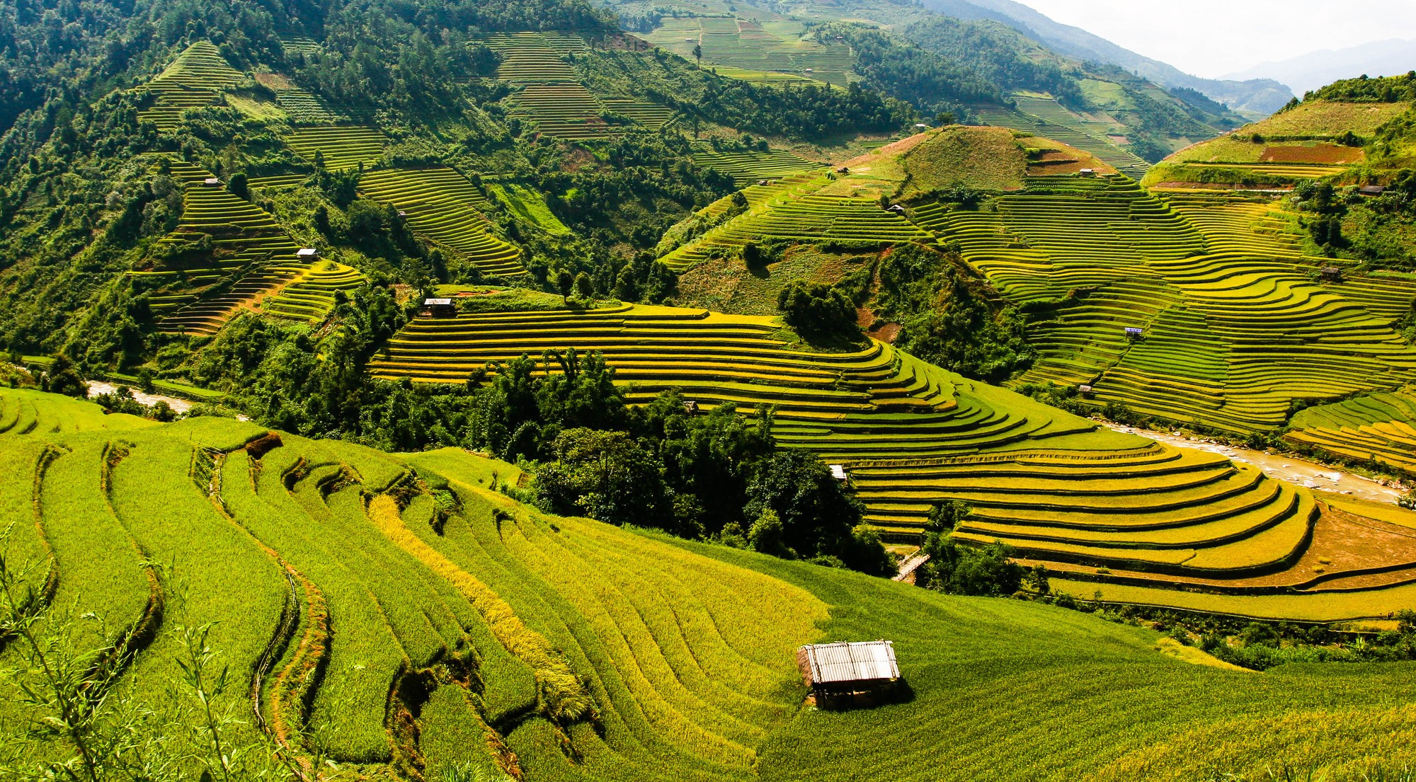 Mu cang chai_ Bảo Ngọc Phạm Mu cang chai_ Bảo Ngọc Phạm