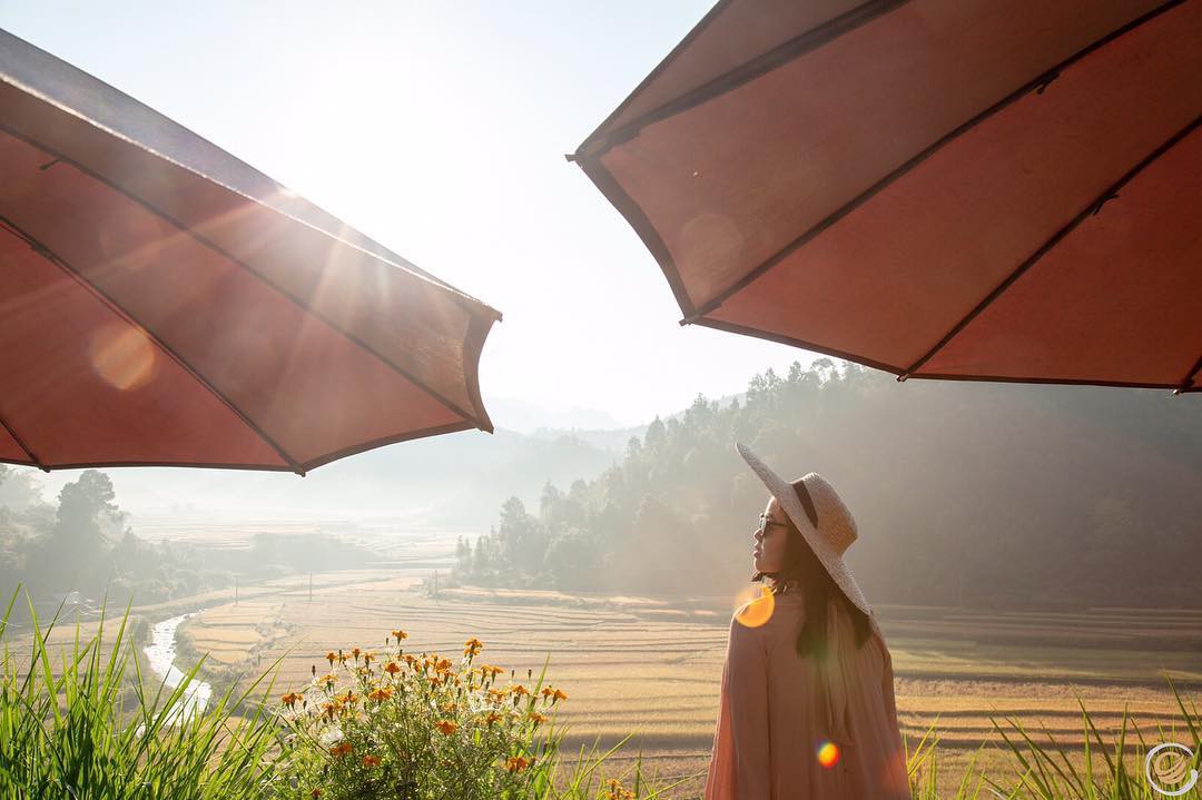 Mu cang chai_ Ecologe _pim_ba Mu cang chai_ Ecologe _pim_ba