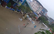 Úng, ngập do đâu?!