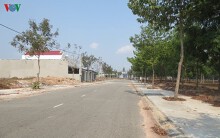 Bình Phước dừng tách thửa đất nông nghiệp do 'loạn' phân lô, bán nền