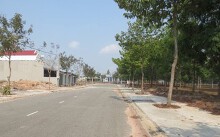 Một doanh nghiệp và 8 cá nhân nợ hơn 100 tỉ đồng trúng đấu giá đất