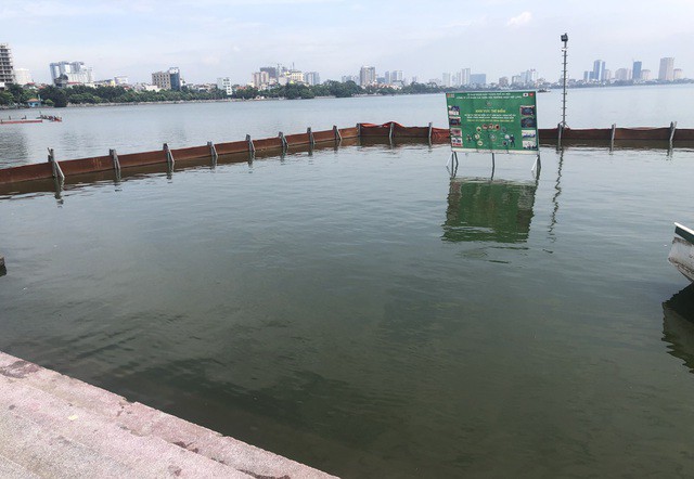 Sắp thả cá chép Nhật Bản xuống sông Tô Lịch và Hồ Tây - Ảnh 2. Sắp thả cá chép Nhật Bản xuống sông Tô Lịch và Hồ Tây - Ảnh 2.