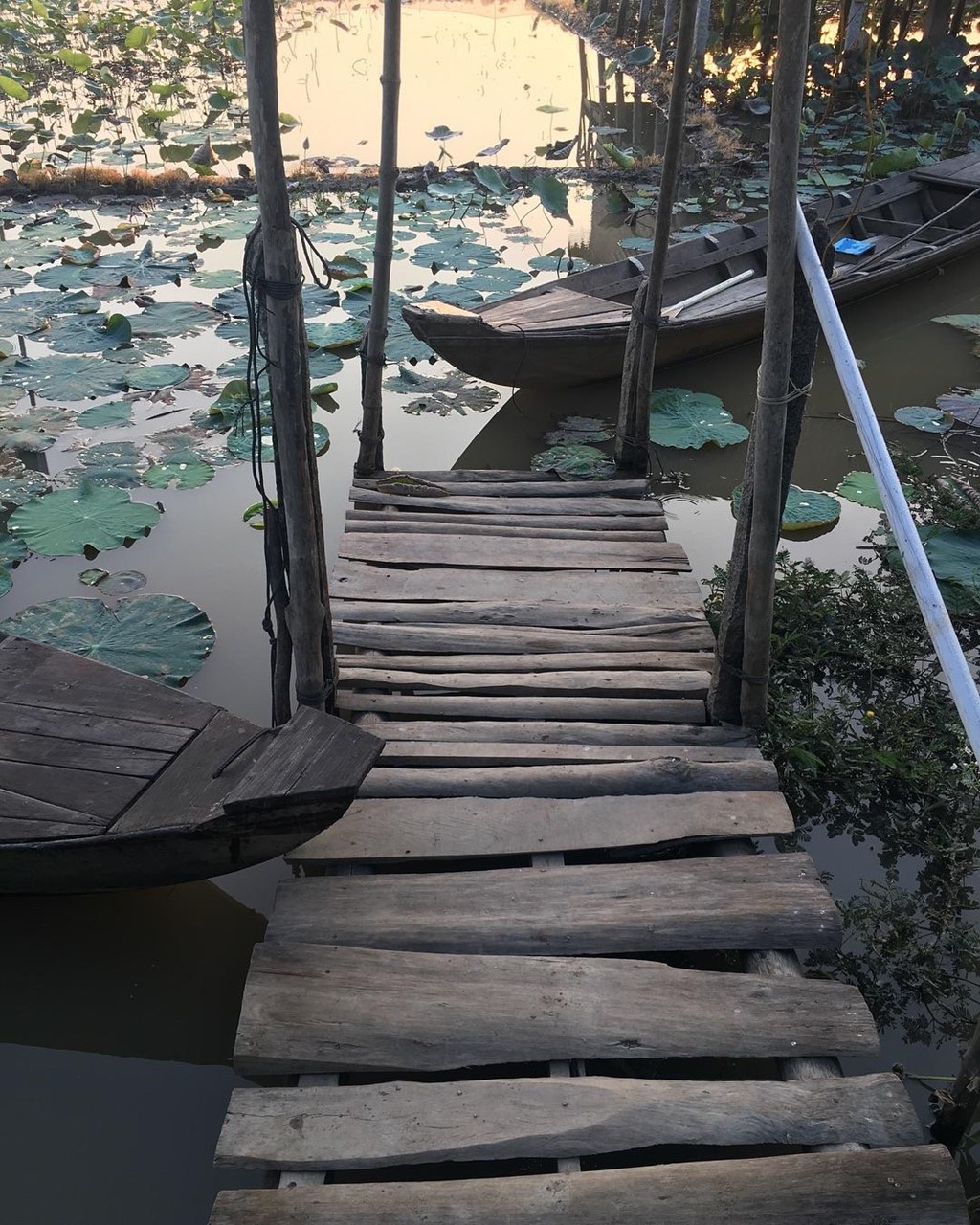 7 homestay miet vuon mien Tay xanh mat don mua nuoc noi hinh anh 1 