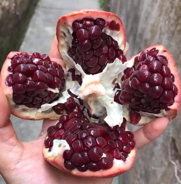 Quả lạ đen thui, quên nỗi sợ hàng Trung Quốc chị em lùng ăn làm đẹp - Ảnh 2. Quả lạ đen thui, quên nỗi sợ hàng Trung Quốc chị em lùng ăn làm đẹp - Ảnh 2.
