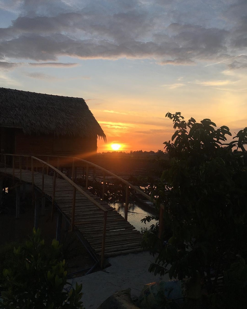 7 homestay miet vuon mien Tay xanh mat don mua nuoc noi hinh anh 2 