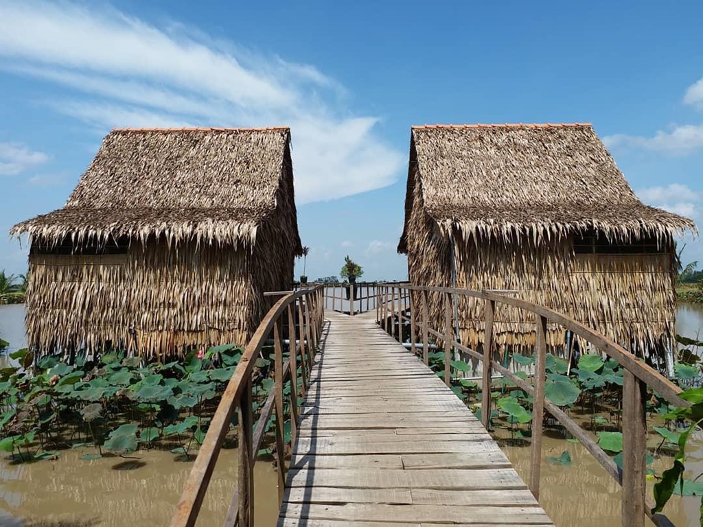 7 homestay miet vuon mien Tay xanh mat don mua nuoc noi hinh anh 3 