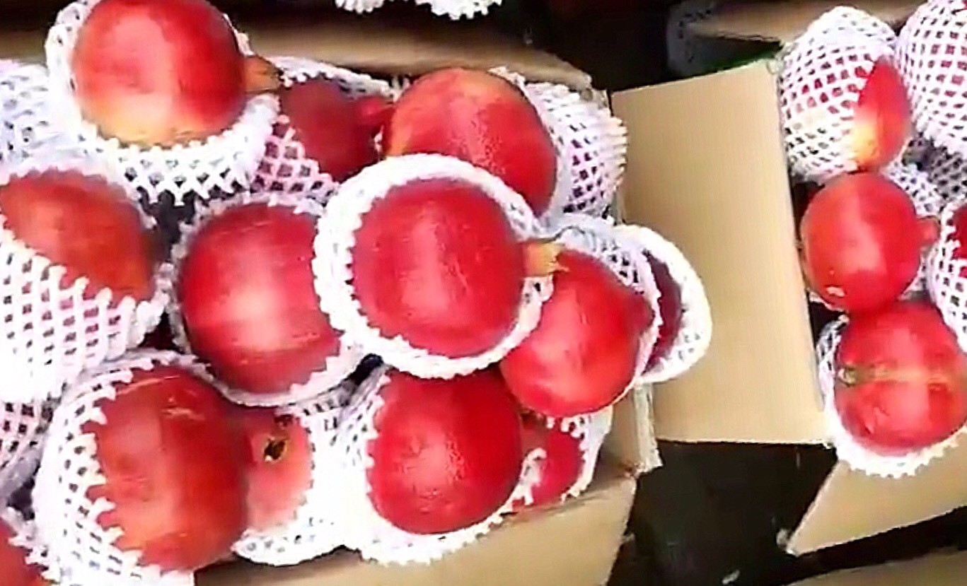 Quả lạ đen thui, quên nỗi sợ hàng Trung Quốc chị em lùng ăn làm đẹp - Ảnh 4. Quả lạ đen thui, quên nỗi sợ hàng Trung Quốc chị em lùng ăn làm đẹp - Ảnh 4.
