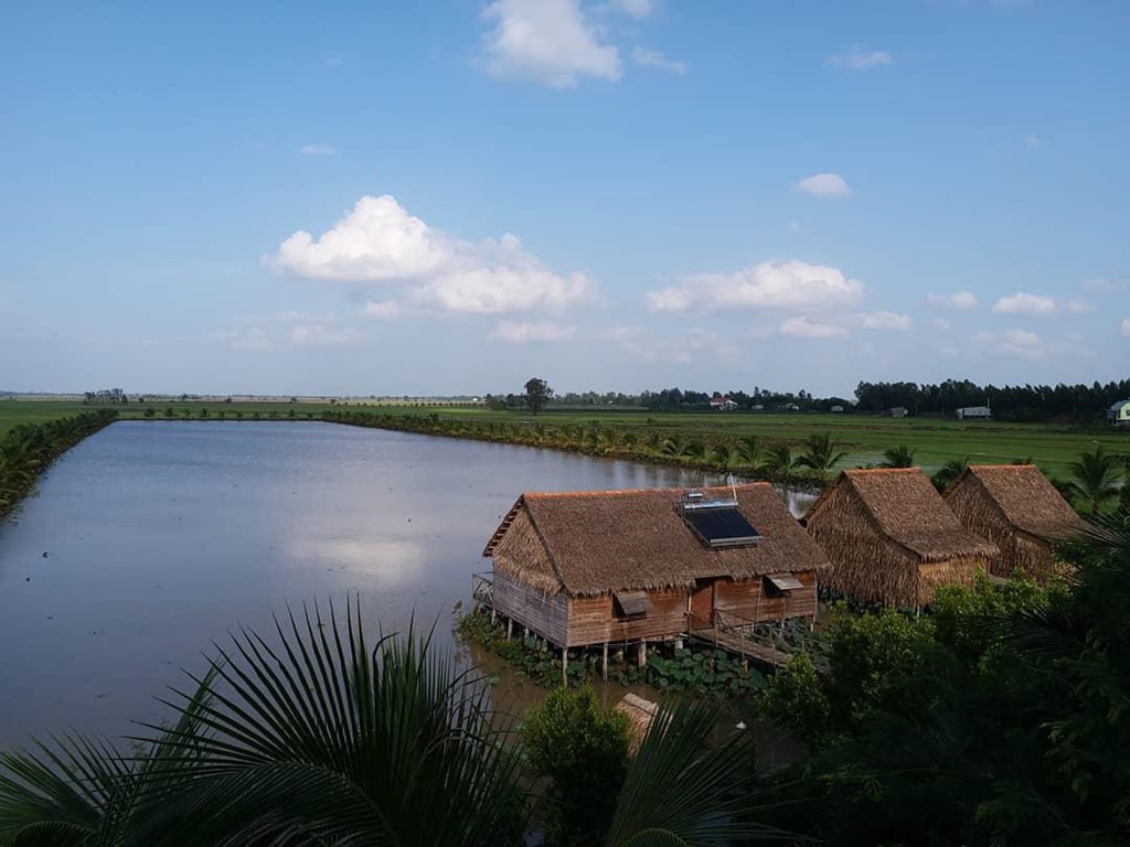 7 homestay miet vuon mien Tay xanh mat don mua nuoc noi hinh anh 4 