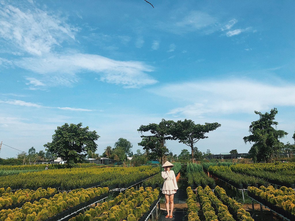 7 homestay miet vuon mien Tay xanh mat don mua nuoc noi hinh anh 5 