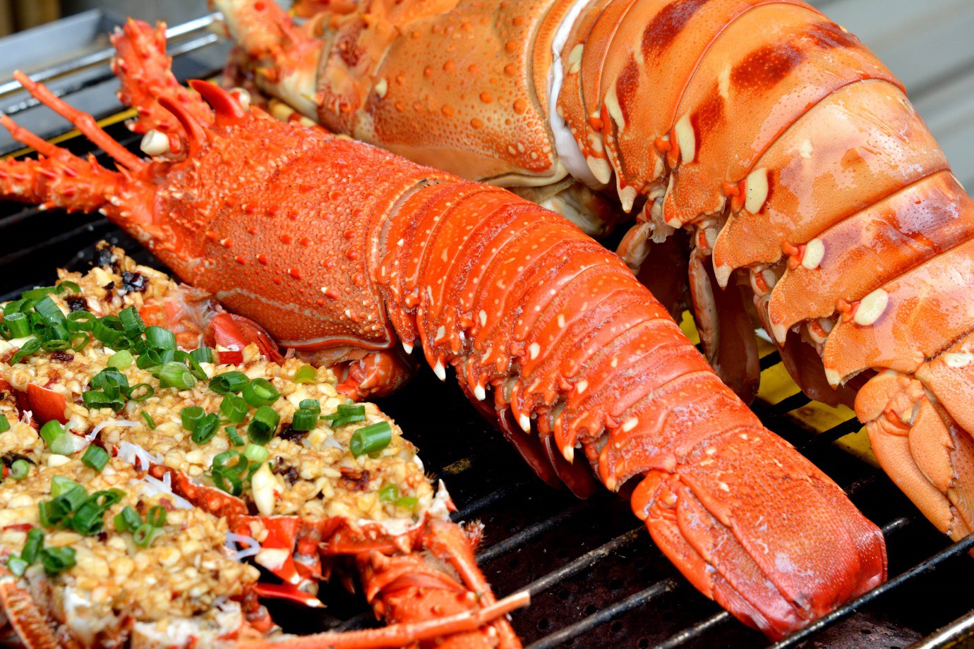 So sánh tour Hà Nội – Lý Sơn 4 ngày 3 đêm - Ảnh 10. So sánh tour Hà Nội – Lý Sơn 4 ngày 3 đêm - Ảnh 10.