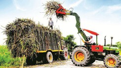 'Sóng ngầm' tại TTC Sugar