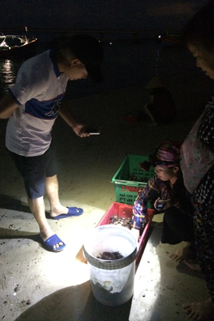 Săn hải sản đêm ở chợ Thiên Cầm - Ảnh 3. Săn hải sản đêm ở chợ Thiên Cầm - Ảnh 3.