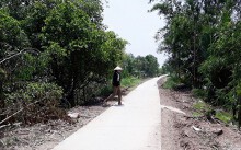 Nhận tài trợ 500 tấn xi măng, giao doanh nghiệp làm đường rồi… 'quên'