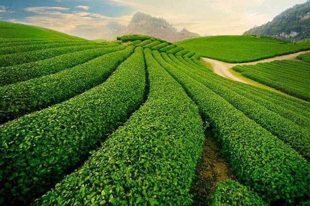 10 địa điểm hấp dẫn trong nước nên đi du lịch vào mùa thu với chi phí thấp - Ảnh 5. 10 địa điểm hấp dẫn trong nước nên đi du lịch vào mùa thu với chi phí thấp - Ảnh 5.