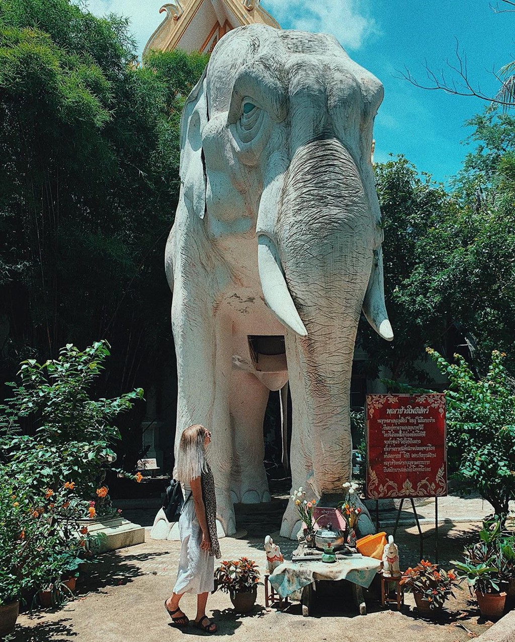 Bi an dang sau ngoi chua hong co rong khong lo quan quanh hinh anh 16 Bi an dang sau ngoi chua hong co rong khong lo quan quanh hinh anh 16
