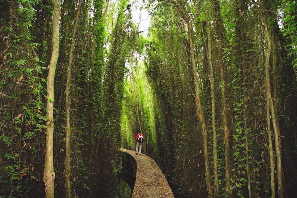 Tân Lập_hongphuc994 Tân Lập_hongphuc994