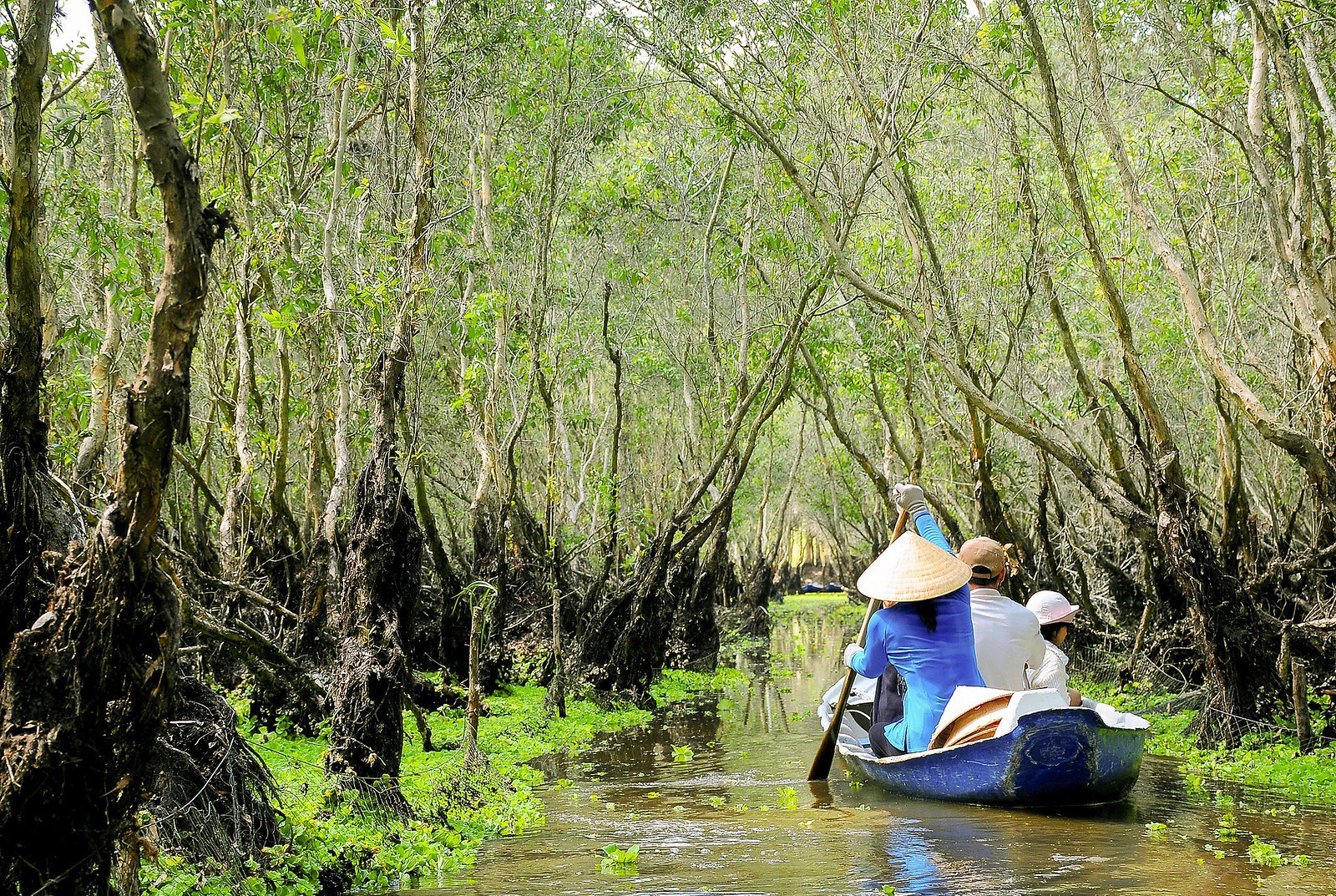 Tra Su_ NGUYÊN BẢO 2 Tra Su_ NGUYÊN BẢO 2