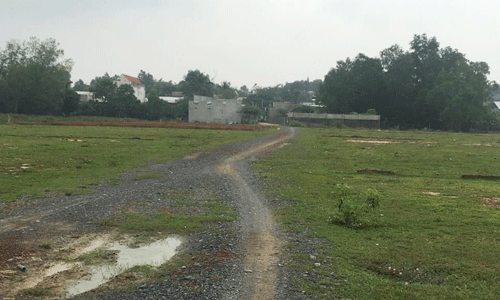 Đất Nhơn Trạch rao bán ồ ạt - Ảnh 2.