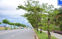 UBND TP Đà Nẵng được yêu cầu xử lý phản ánh '21 lô đất ven biển Đà Nẵng đứng tên người Trung Quốc'