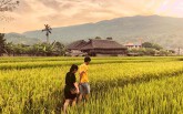 Trải nghiệm mùa lúa chín vàng với kinh nghiệm du lịch Đà Nẵng - Hà Giang