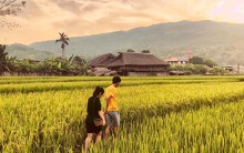 Trải nghiệm mùa lúa chín vàng với kinh nghiệm du lịch Đà Nẵng - Hà Giang