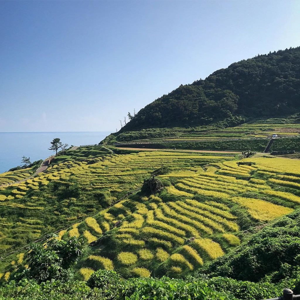 Ruong bac thang phat sang ben bo bien thu hut du khach hinh anh 4 Ruong bac thang phat sang ben bo bien thu hut du khach hinh anh 4