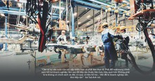 Vì sao giá xe hơi Việt Nam luôn cao hơn khu vực?