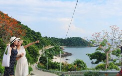 Check-in Cù Lao Chàm ngắm hoa ngô đồng nhuộm đỏ đảo xanh