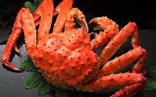 Cua hoàng đế Alaska giảm giá kỉ lục