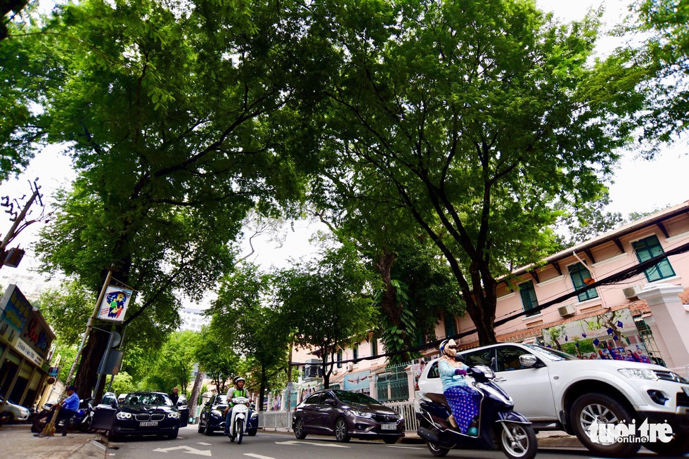 Quận 3, TP HCM vào top khu phố tuyệt vời nhất thế giới, vì sao? - Ảnh 1. Quận 3, TP HCM vào top khu phố tuyệt vời nhất thế giới, vì sao? - Ảnh 1.