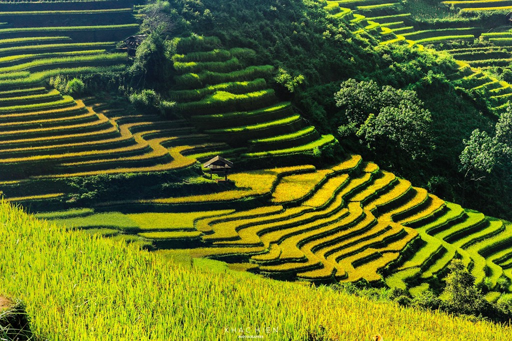 5 goi y cho chuyen di Mu Cang Chai tron ven hinh anh 11 5 goi y cho chuyen di Mu Cang Chai tron ven hinh anh 11