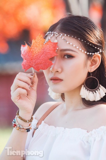 Ngỡ ngàng với con đường phong lá đỏ ở Hà Nội - Ảnh 11.