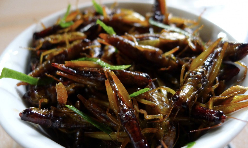 5 goi y cho chuyen di Mu Cang Chai tron ven hinh anh 16 5 goi y cho chuyen di Mu Cang Chai tron ven hinh anh 16