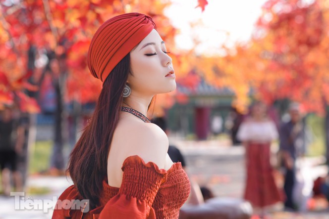 Ngỡ ngàng với con đường phong lá đỏ ở Hà Nội - Ảnh 7.