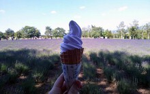 Khám phá đảo Hokkaido, nơi tuyết rơi mùa hè