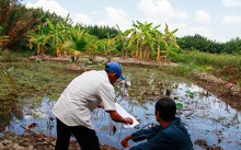 TP HCM phê duyệt hệ số điều chỉnh giá đất để bồi thường, hỗ trợ ở 8 dự án