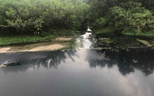 Nước cống đen ngòm hôi thối chảy ra môi trường, nhà máy cồn cho rằng... chỉ là nước mưa