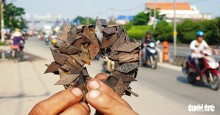 Lo 'đinh tặc', dân dùng nam châm thu gom và tự gắn bảng 'cảnh báo'