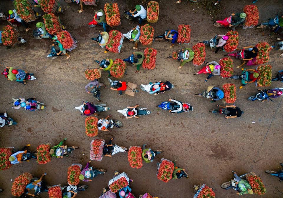 du lich viet nam (8)